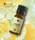 Ghimbir ulei esenţial pur (zingiber officinale) 10ml