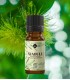 Niaouli BIO ulei esenţial (melaleuca quinquenervia) 10 ml