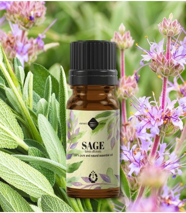 Salvie ulei esenţial pur (salvia officinalis) 10 ml