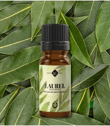 Dafin ulei esenţial pur (laurus nobilis) 10 ml