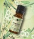 Niaouli BIO ulei esenţial (melaleuca quinquenervia) 10 ml